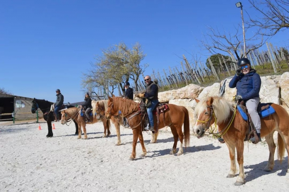  Dentro de nuestras caballerizas 