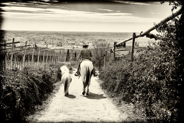 Paseo a caballo en Monteforle d'Alpone con almuerzo7h