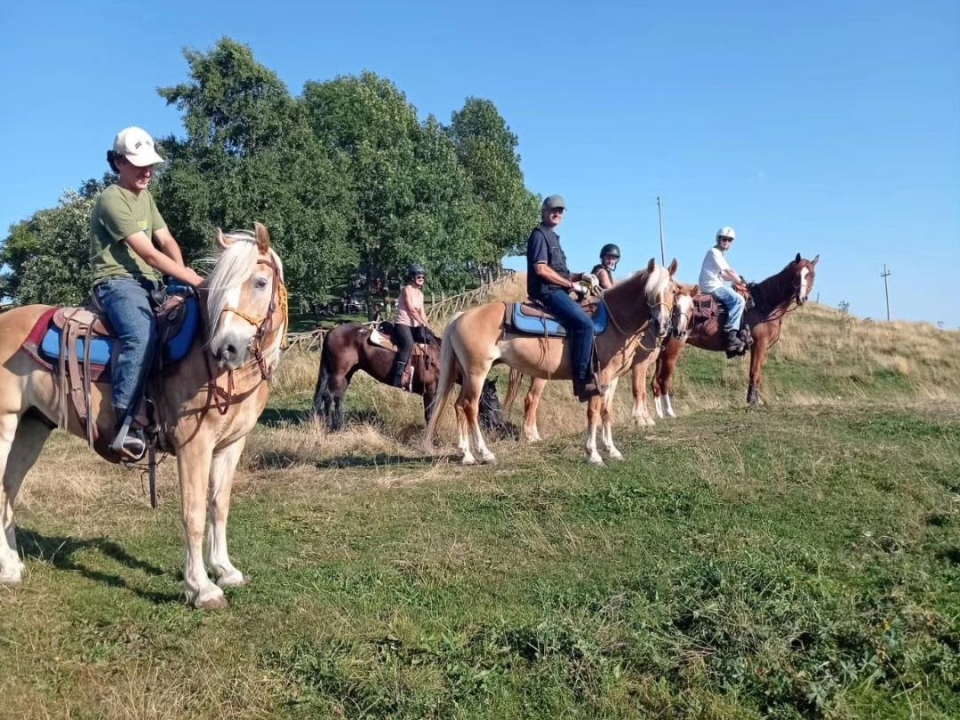  Las colinas venecianas 