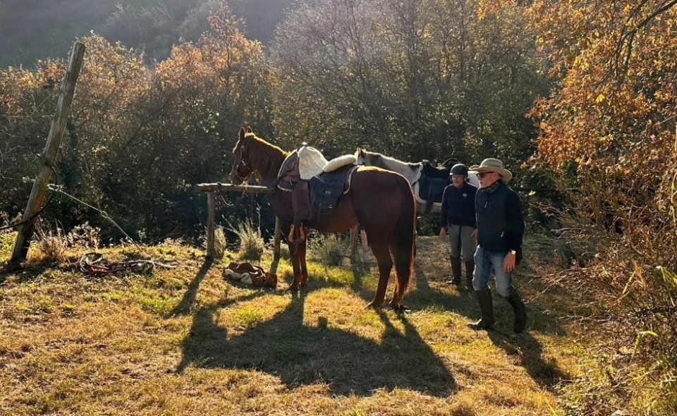  Uno de nuestros caballos 