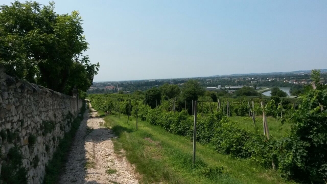  Caminos y naturaleza 