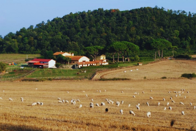  Un oasis de paz