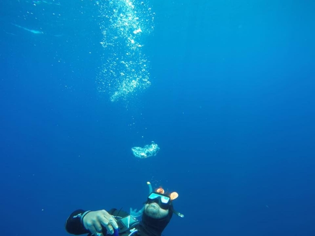  inmersión 