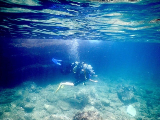  listos para descubrir el fondo marino 
