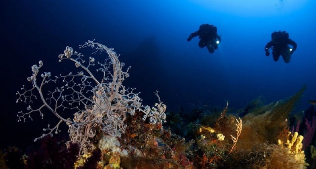  Exploración del fondo marino de noche 