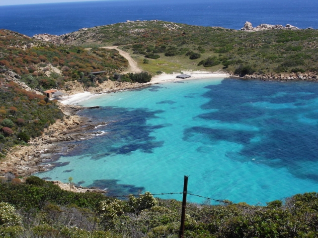  golfo de asinara 