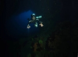 Buceo nocturno en las Islas Tremiusted 2 horas