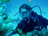 Buceo en las Islas Tremiusted 2 horas