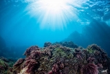 Descubre el curso de buceo Catania 5h