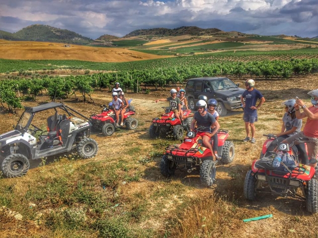  Excursión en grupo sobre 4 ruedas 