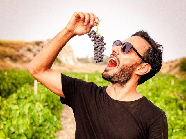  Degustación de frutas de temporada 