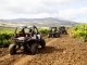 Buggies Sicilia