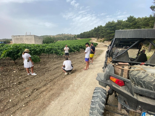  En jeep entre la espléndida campiña siciliana 