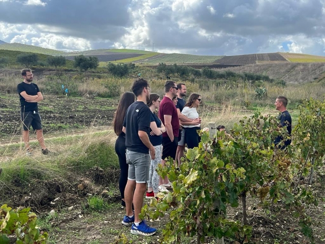  Entre los campos del oesle de Sicilia