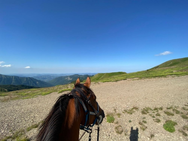 Paseo a caballo por las colinas de Pistoia + aperitivo 1 hora