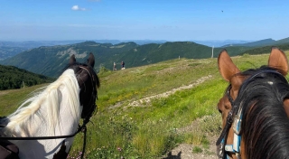 Paseo a caballo por las colinas de Pistoia 2 horas + aperitivo