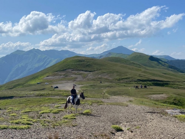  Paseo por el campo 