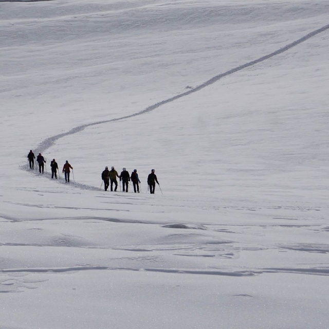  raquetas de nieve en la nieve