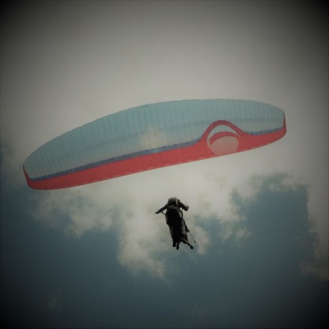 en vuelo 