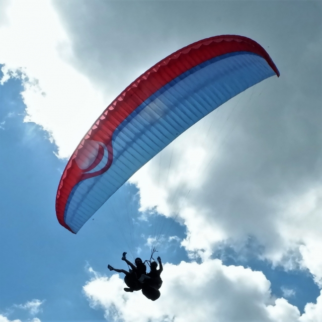  parapenle 
