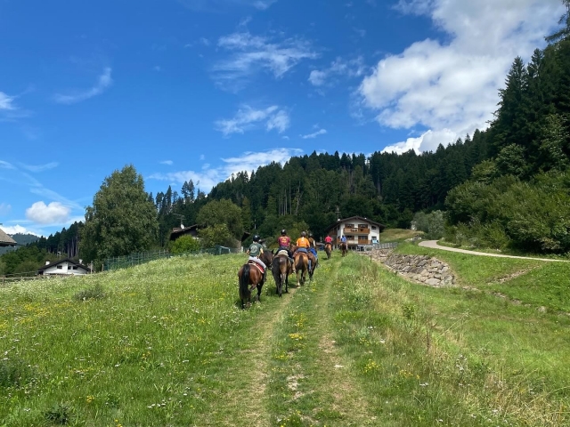  Rodeado de vegetación 