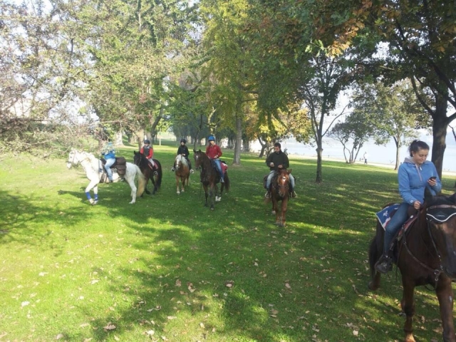 Un grupo de paseo 