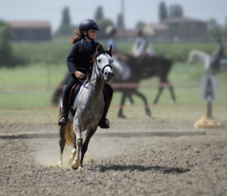 Lección de equitación en Mantua 1 hora.