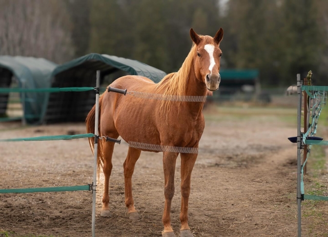  una de nuestras carreras 