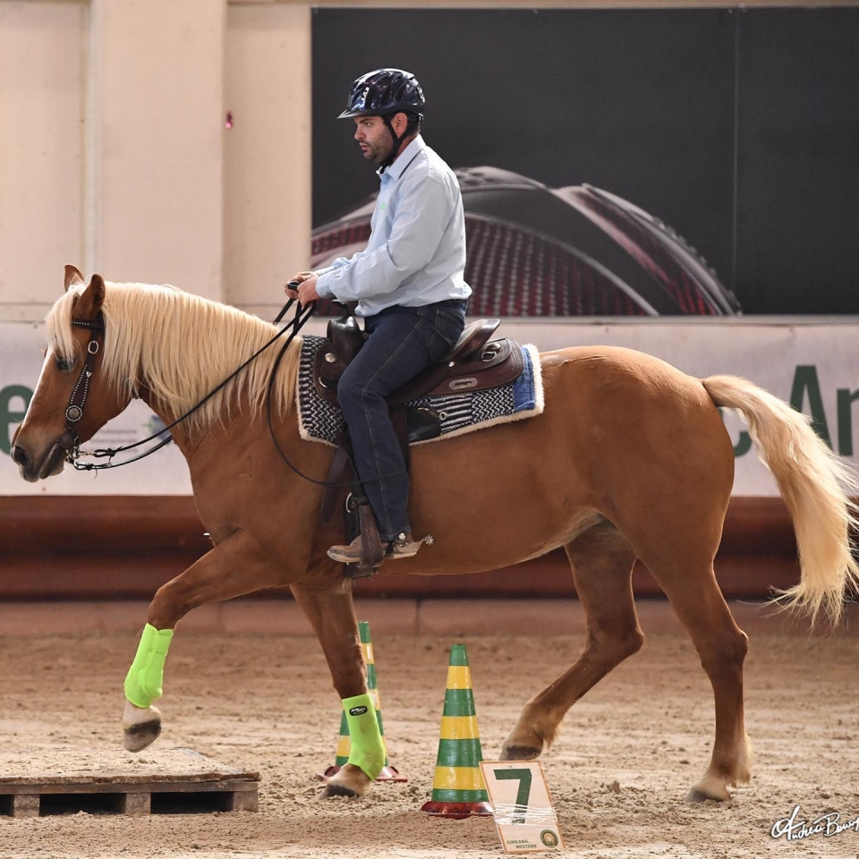 Uno de nuestros caballos 
