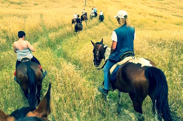 paseo por el campo 