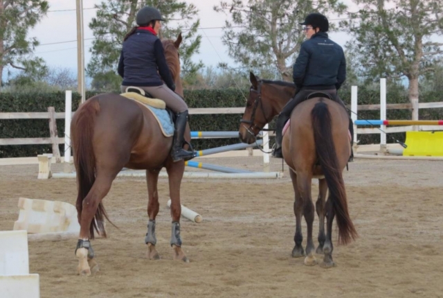  adultos a caballo 