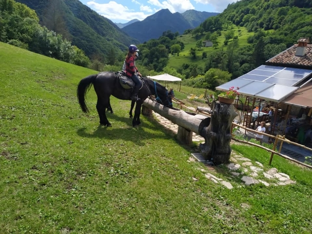 Personas a caballo 
