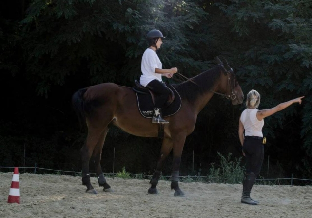  subir a caballo