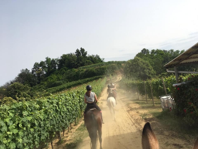 Trekking en el parque