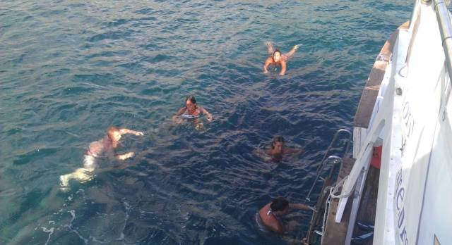  Genle a la orilla del mar 