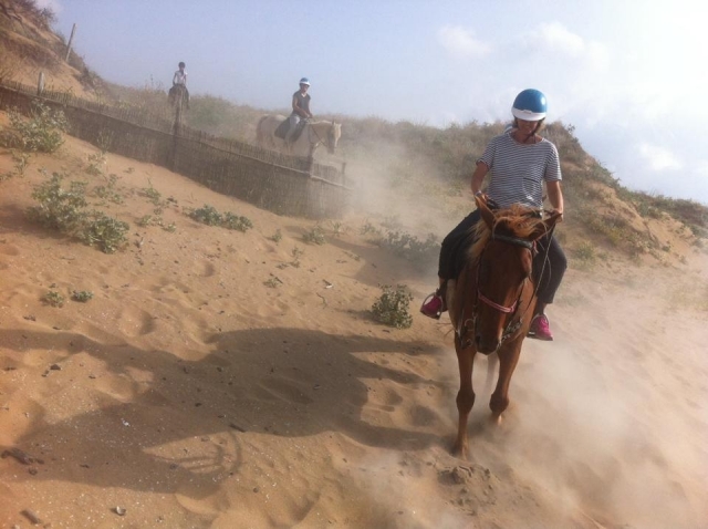 caballos en la playa 