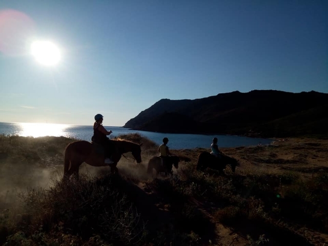 caballo al atardecer 