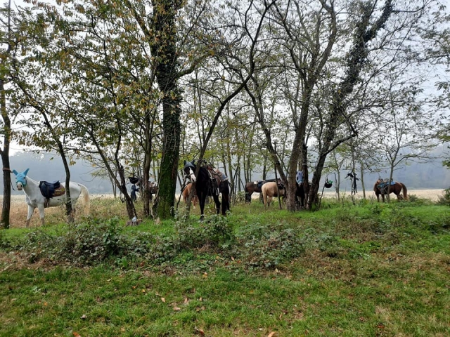  campo de Milán 