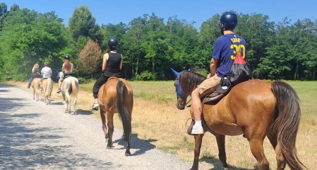  Experiencia compartida