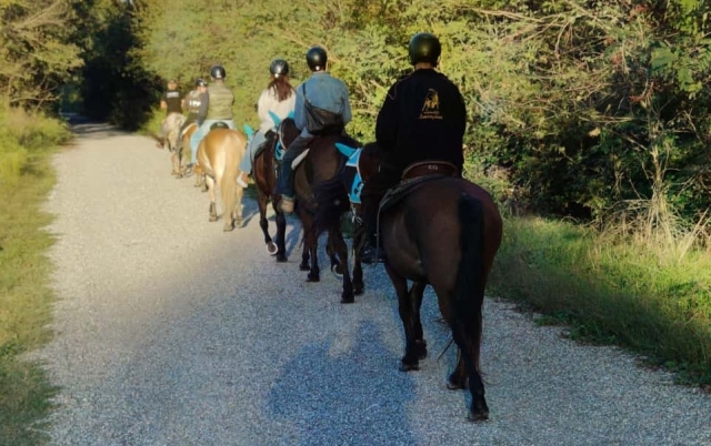Paseo a caballo Robecchetto con Induno 2 horas Paseo a caballo Robecchetto con Induno 2 horas