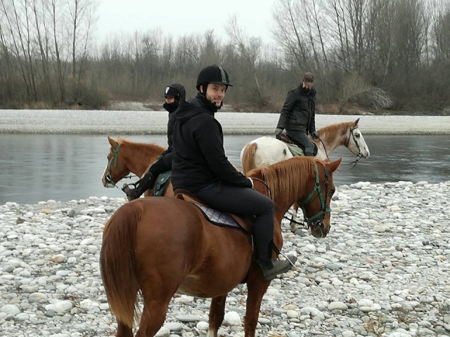 caballos en invierno 
