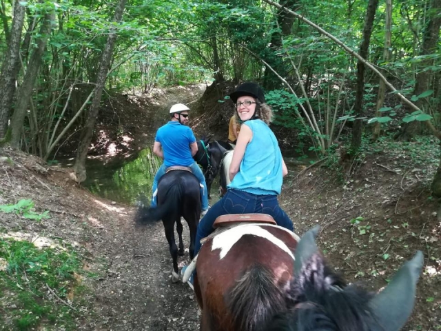  paseo en compañía 