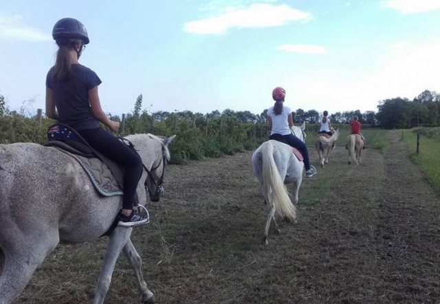  pbaños a caballo 