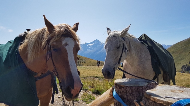 paseo a caballo 