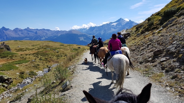  paseo a caballo 