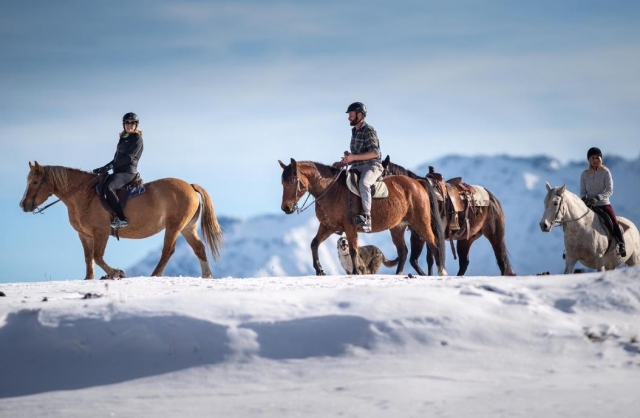  paseo a caballo en la nieve 