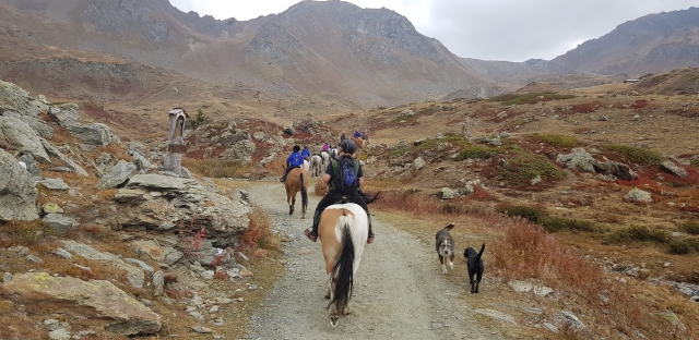  paseo a caballo 