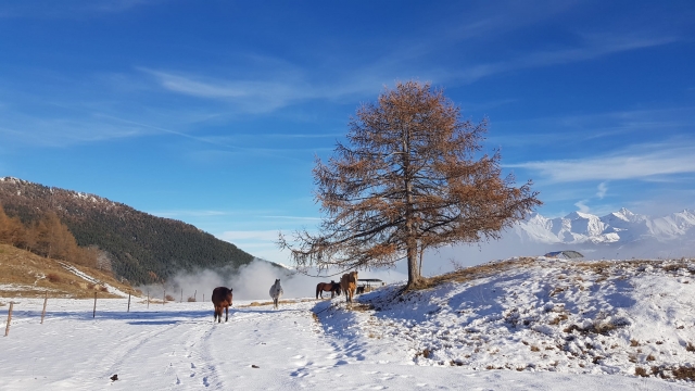  turismo ecuestre 