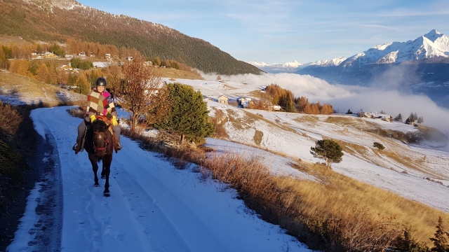  caballos en la nieve 