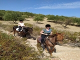 Paseo a caballo de dos horas en Trapani